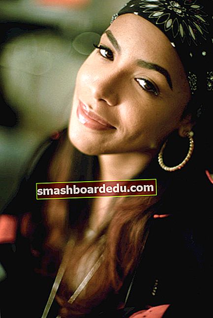 Aaliyah (Singer) Wiki, Bio, Vârstă, Înălțime, Greutate, Cauză de moarte, Soț, Valoare netă, Fapte