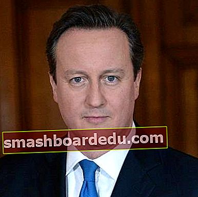David Cameron (političar) Wiki, biografija, visina, težina, dob, supruga, djeca, neto vrijednost, karijera, činjenice